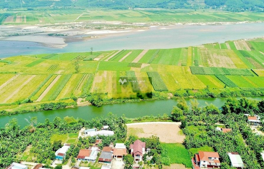 Tại Đại Hồng, Quảng Nam bán đất 380 triệu diện tích chung là 170m2-01
