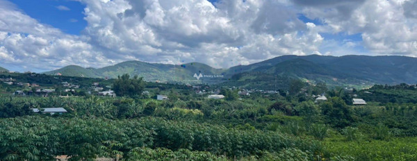Bán đất 1.2 tỷ Lâm Hà, Lâm Đồng có diện tích tổng 511m2-03
