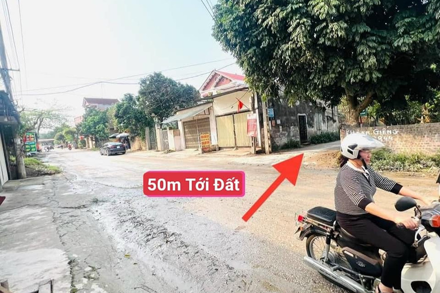 Cần bán nhà riêng huyện Tam Dương tỉnh Vĩnh Phúc, giá 1,2 tỷ-01
