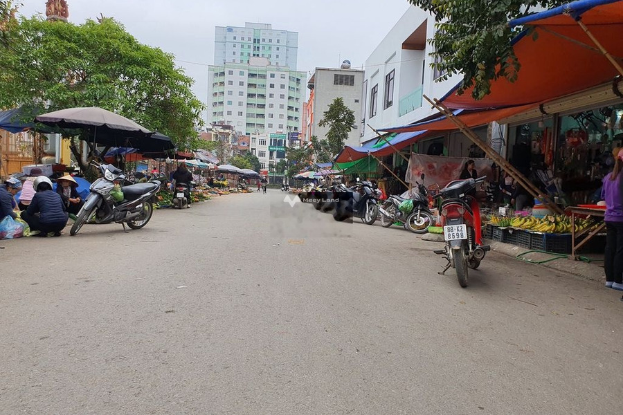 Giá bán đặc biệt chỉ 3.55 tỷ bán đất có diện tích trung bình 100m2 vị trí mặt tiền ở Nguyễn Tất Thành, Vĩnh Phúc, hướng Đông Nam-01