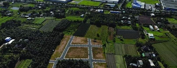 Cần bán lô đất nằm mặt tiền đường 15m kế khu công nghiệp Tân Hương-03