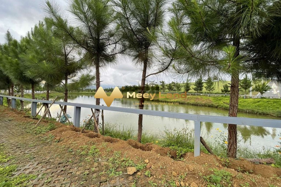 Bán đất tại Tây Sơn, Bảo Lộc, Lâm Đồng. Diện tích 500m2, giá 1,5 tỷ-01