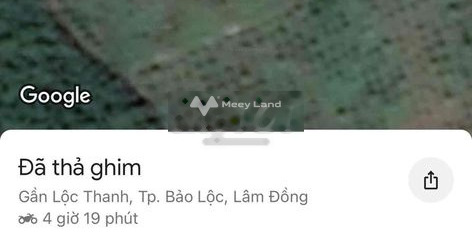 Vị trí mặt tiền tại Bảo Lộc, Lâm Đồng bán đất, giá hấp dẫn 4.87 tỷ, hướng Đông Bắc diện tích thực tế 3249m2-02