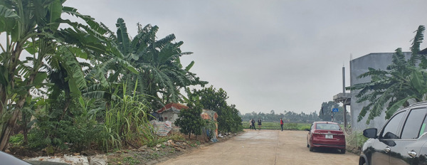 Bán đất dịch vụ Đông Đạo, Đồng Tâm, Vĩnh Yên, Vĩnh Phúc-03