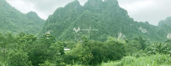 Khoảng từ 1.86 tỷ bán đất có một diện tích 1550m2 vị trí tốt tại Thanh Sơn, Lương Sơn-03