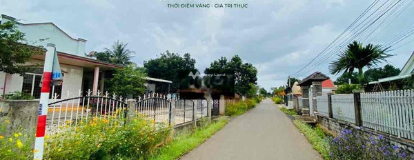 Bán đất 2.45 tỷ Sơn Bình, Châu Đức với diện tích chuẩn 500m2-02