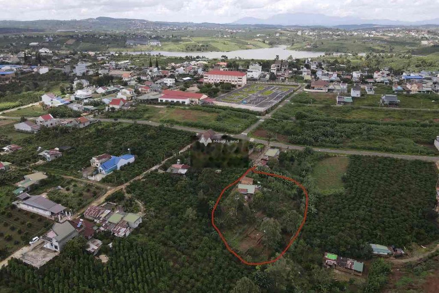 Giá hạt dẻ từ 5 tỷ bán đất có diện tích chung 2496m2 ở Võ Thị Sáu, Lâm Đồng-01