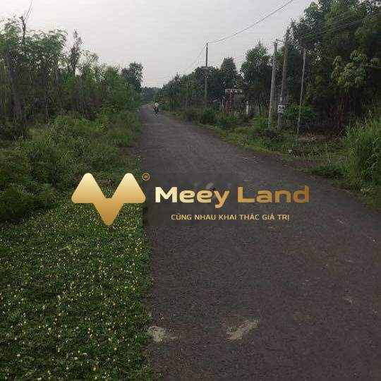 Vị trí thuận lợi ngay trên Thanh Bình, Bình Phước bán đất giá 240 triệu, diện tích chuẩn 246m2-01