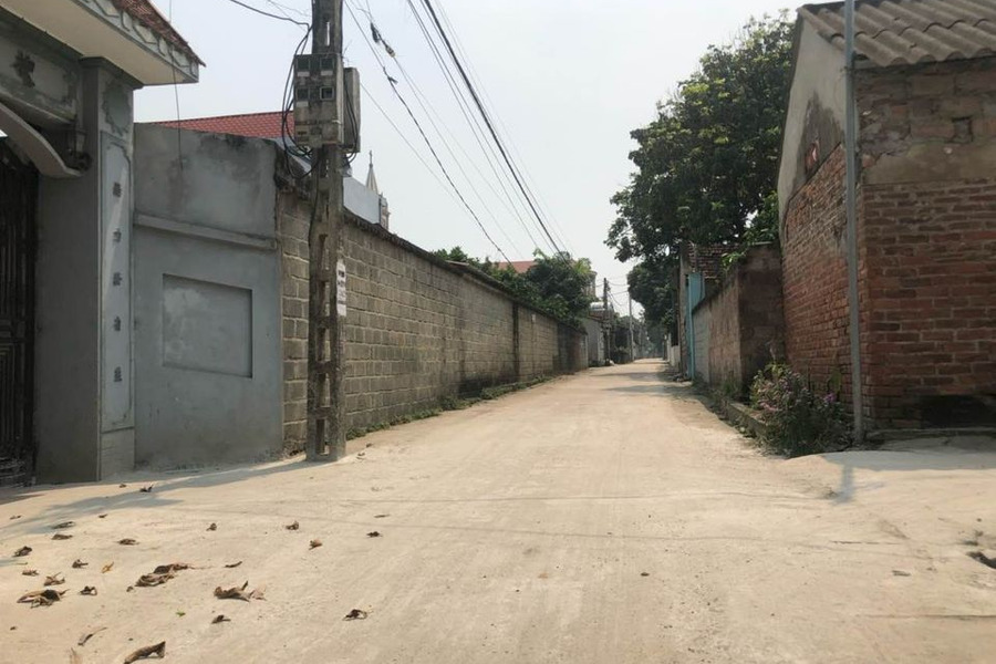 Cần bán đất tại Đông Yên, Quốc Oai, Hà Nội-01