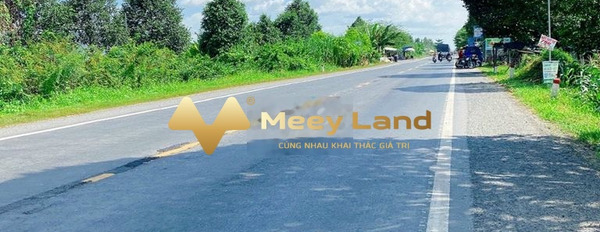 Giá bán đặc biệt 10.21 tỷ bán đất dt như sau 3645 m2 vị trí thuận lợi tọa lạc trên Xã Nhơn Nghĩa, Huyện Phong Điền, hướng Tây Bắc-03