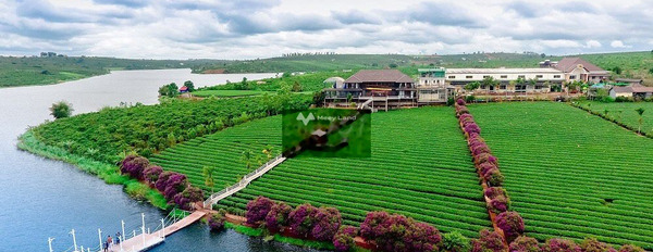Nằm tại Phúc Thọ, Lâm Đồng bán đất 890 triệu có diện tích gồm 740m2-02