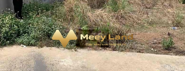 Vị trí ở Bình Chánh, Hồ Chí Minh bán đất giá bán siêu rẻ chỉ 1.55 tỷ toàn bộ khu vực có diện tích 120m2-03