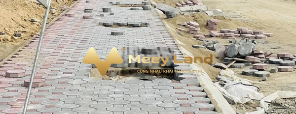 Do thiếu tiền bán đất Đậu Liêu, Hồng Lĩnh giá hạt dẻ 1.4 tỷ tổng dt 140 m2-02