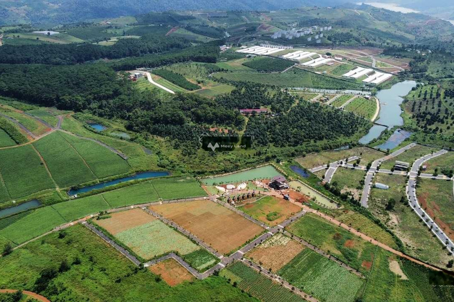 Bảo Lâm, Lâm Đồng 900 triệu bán đất, hướng Đông - Nam diện tích trong khoảng 168m2-01