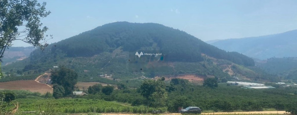 Giá bán tốt từ 2.7 tỷ bán đất Diện tích đất 1000m2 vị trí đặt ngay trung tâm Lâm Hà, Lâm Đồng-02