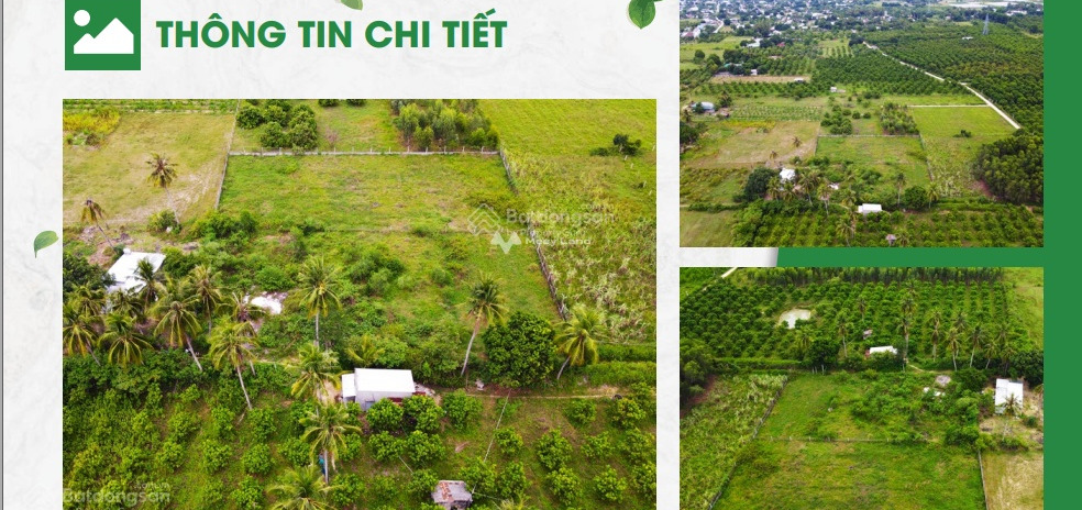 Cam Nghĩa, Cam Ranh bán đất giá bất ngờ 955.5 triệu, hướng Đông - Nam Diện tích đất 147m2