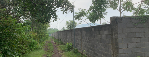 Bán gấp 7 sào đất đẹp và giá ngộp tại ấp ruộng tre xã Bảo Quang, Long Khánh, Đồng Nai-03