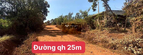 259 triệu bán đất có diện tích tiêu chuẩn 308m2 mặt tiền nằm ngay Krông A Na, Đắk Lắk, hướng Đông-02