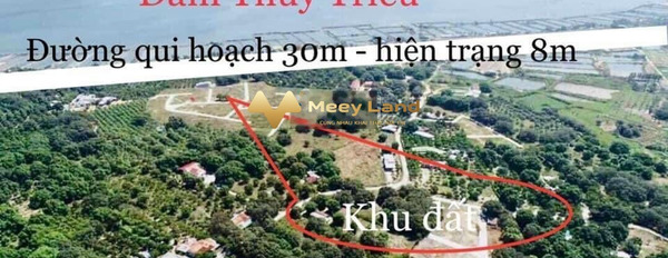Vị trí thuận lợi ngay trên Cam Hải Tây, Khánh Hòa bán đất, giá bán hiện tại chỉ 1,24 tỷ, hướng Đông Nam-03