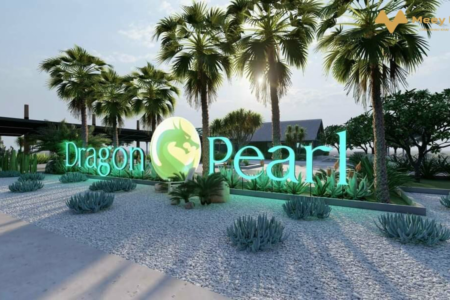 Đất dự án Dragon Pearl ngay kênh An Hạ, giáp Bình Chánh, giá tốt nhất thời điểm hiện tại-01