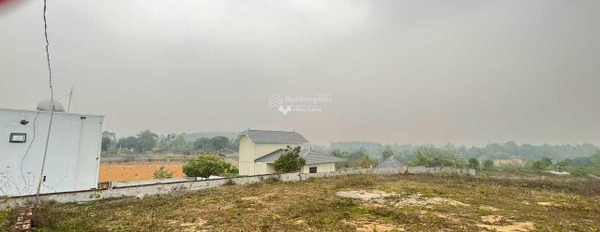Bán đất có một diện tích sàn 1000m2 vị trí thuận lợi tọa lạc trên Cư Yên, Lương Sơn-02