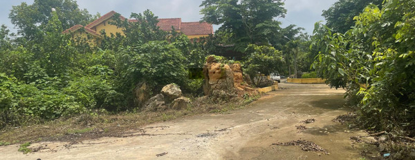 Cơ hội sở hữu hơn 5ha đất nghỉ dưỡng, kèm theo tiềm năng khai thác đá non bộ cực lớn Thị xã Bỉm Sơn -02