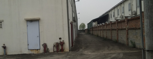 Nhượng quyền sử dụng đất và xưởng tại phố Nối A, Hưng Yên-03