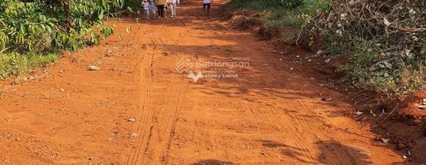 Chuyển công tác bán đất Gia Nghĩa, Đắk Nông giá bán ngạc nhiên chỉ 1.6 tỷ diện tích tầm trung 8557m2-02