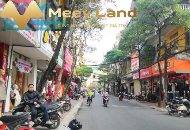Bán gấp mảnh đất Lê Hồng Phong 3 bước ô tô tránh, taxi đỗ cửa, ngõ thông, hơn 40m2, 3,6 tỷ