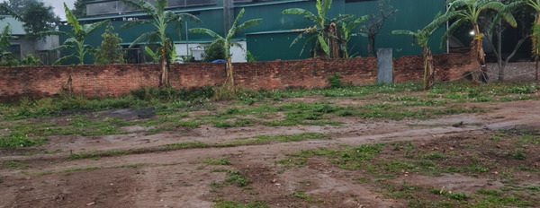 Chính chủ cần bán mảnh đất phân lô hoa hậu tại Thắng Trí, Minh Trí, Sóc Sơn, Hà Nội-03