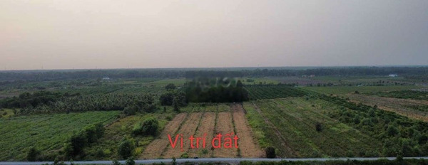Bán gấp 1000m2 đất vườn mặt tiền View sông cực đẹp giáp ranh Sài Gòn -02