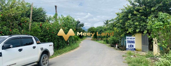 Nằm trong mức 550 triệu bán đất có diện tích khoảng 1012 m2 ngay Xã Khánh Phú, Huyện Khánh Vĩnh-02