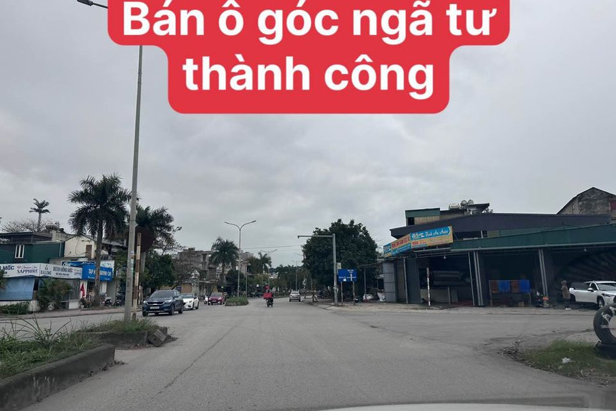 Cần bán đất thành phố Hạ Long-01