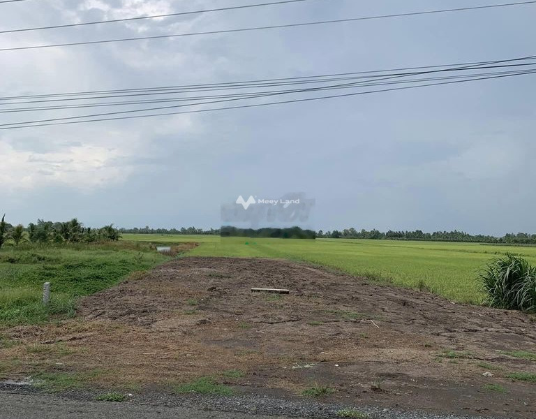 1.62 tỷ bán đất có diện tích quy ước 1800m2 tọa lạc ở Tam Bình, Vĩnh Long-01