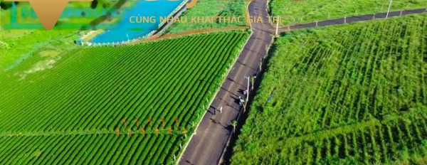Bán mảnh đất 150m2 giá mua liền từ 500 triệu mặt tiền tọa lạc ngay trên đường Đầm Ri, tỉnh Lâm Đồng-03