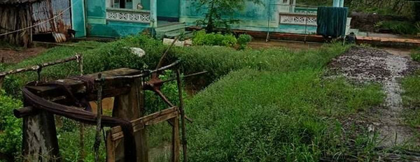 Cần bán gấp nhà và đất tại ấp Nguyễn Quyền, xã Viên An, huyện Ngọc Hiển, tỉnh Cà Mau-02