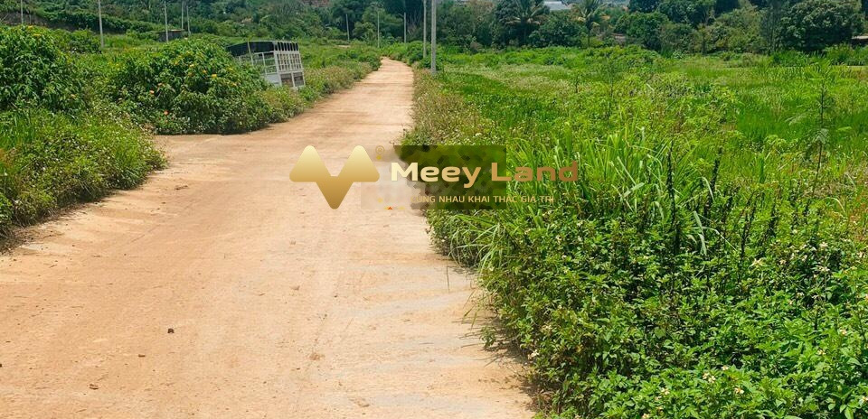 Bán đất ngay trung tâm xã Phú Sơn, huyện Lâm Hà