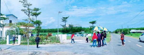 Bán đất 4 tỷ Láng Dài, Bà Rịa-Vũng Tàu tổng diện tích 500m2-02