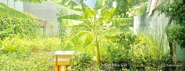 Bán lẹ nền đất rẻ nhất ngay cạnh MT Hoàng Hữu Nam, Quận 9 (80m2) -03