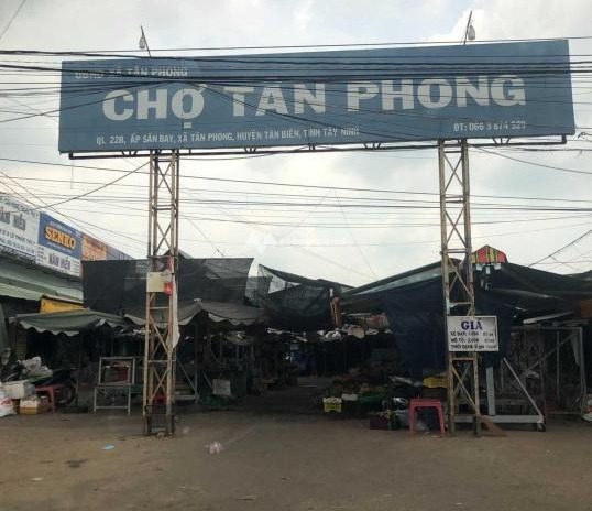 Vị trí đặt tọa lạc ở Tân Biên, Tây Ninh bán đất, giá cực sốc 290 triệu có diện tích chung là 138m2