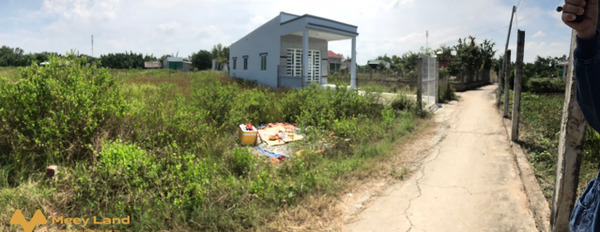 Cần bán 2 miếng đất full thổ cư, vị trí đẹp tại huyện Cần Giuộc, Long An-03