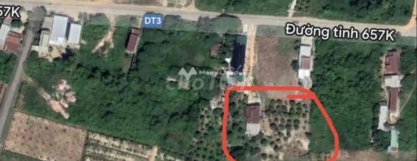 Cam Lâm, Khánh Hòa 3.95 tỷ bán đất diện tích thực như trên hình 9018m2-02