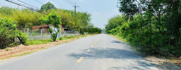 Nguyễn Thị Lắng, Hồ Chí Minh 1.35 tỷ bán đất diện tích rộng rãi 123m2-03