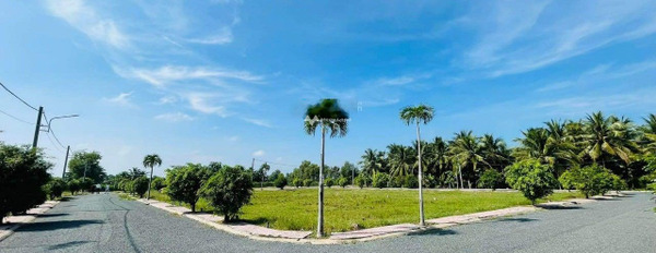 Giá bán khuyến mãi chỉ 520 triệu bán đất với diện tích chuẩn 100m2 vị trí tiện lợi Huyện 31, Tân Hương-02