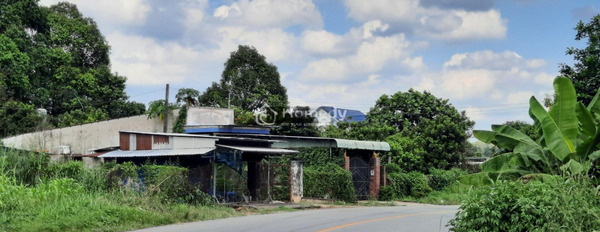 Vị trí thuận lợi nằm trên Đường Dh507, Phú Giáo bán đất giá thỏa thuận chỉ 650 triệu diện tích rộng rãi 1037m2-03