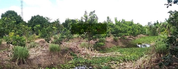 Bán 10x60m đất khu Giàn Gừa, Phong Điền, Cần Thơ-03