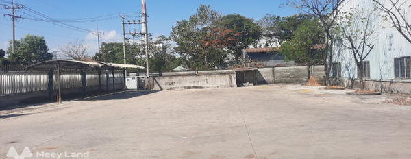 Cho thuê kho xưởng diện tích lớn mặt tiền đường xe container, khu công nghiệp Hiệp Phước-03