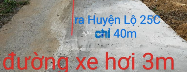 Tân Thuận Bình, Tiền Giang 390 triệu bán đất diện tích 130m2-03