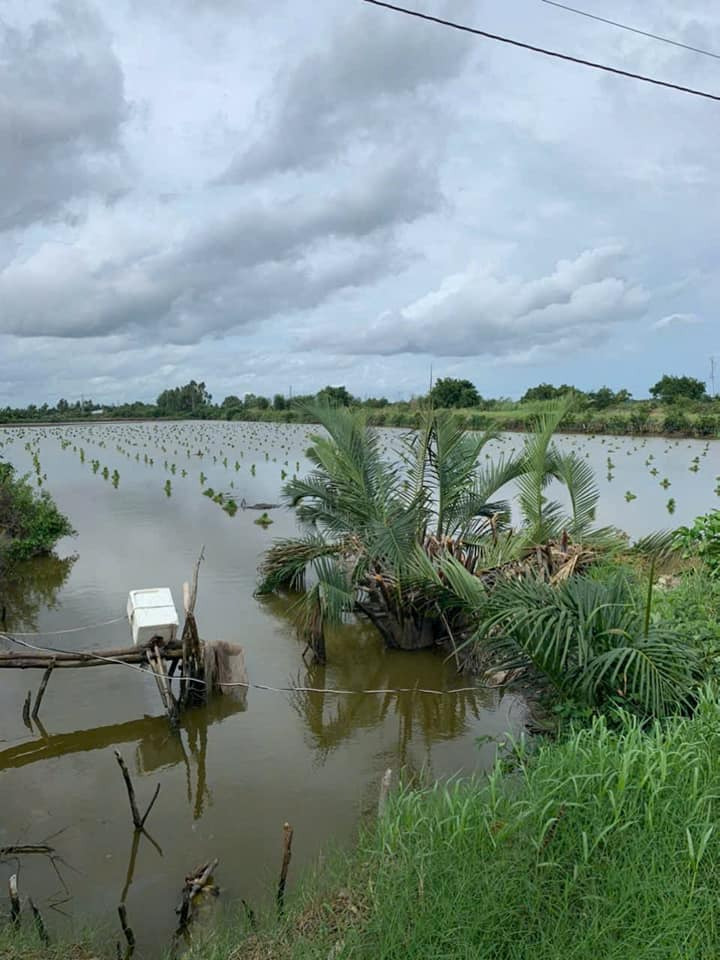 Bán đất quận 12 thành phố Hồ Chí Minh giá 120.0 triệu-3