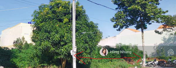Trương Vĩnh Ký, Bến Tre 500 triệu bán đất với diện tích là 120m2-03